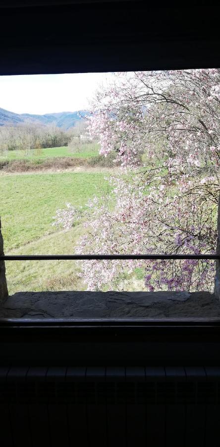 Casa Can Boix La Vall de Bianya Buitenkant foto