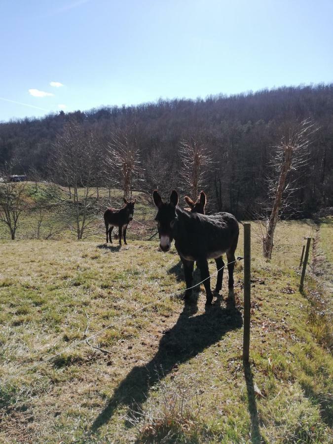Casa Can Boix La Vall de Bianya Buitenkant foto